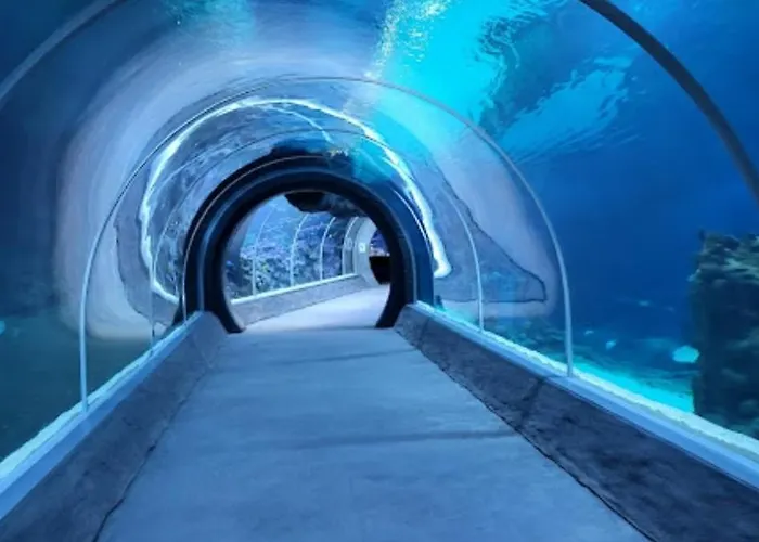 Blisko Manufaktury Apartman